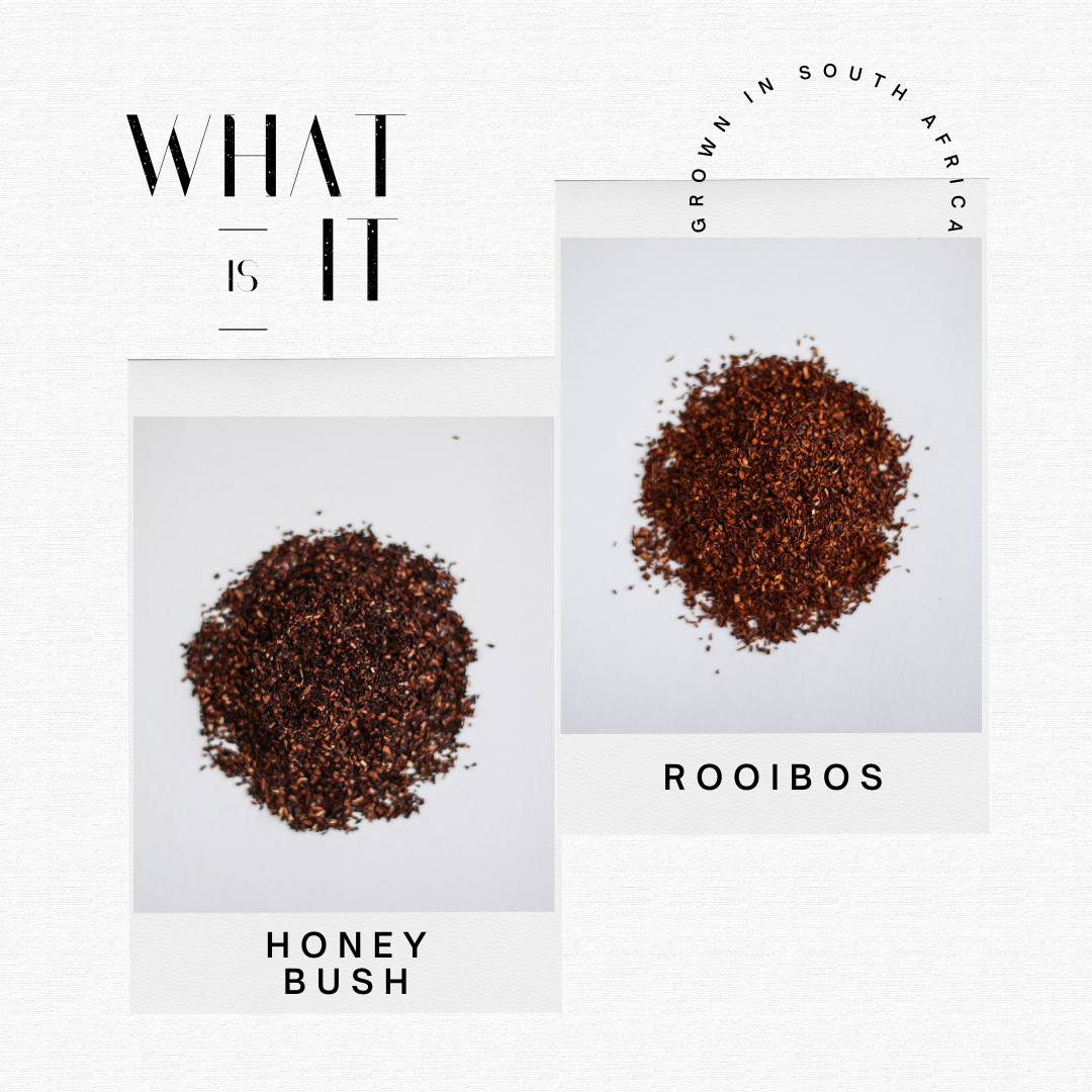 Honey Bush & Rooibos
