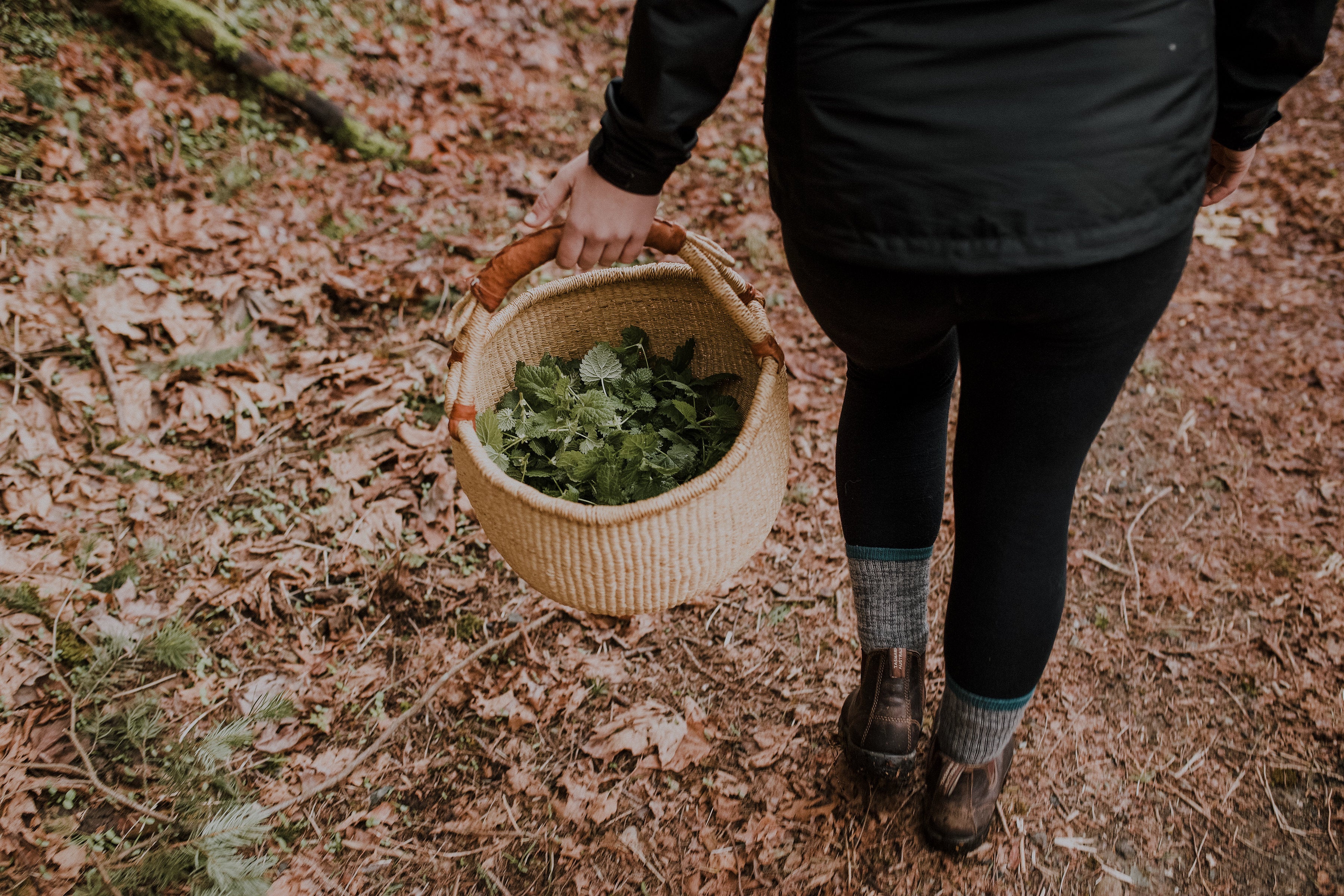 Canadian Herbs