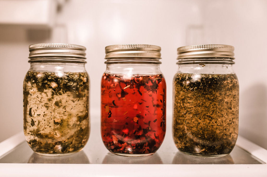 infusion vs decoction