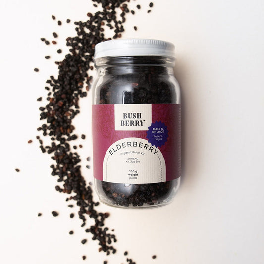 Organic Elderberry Juice Kit | WS