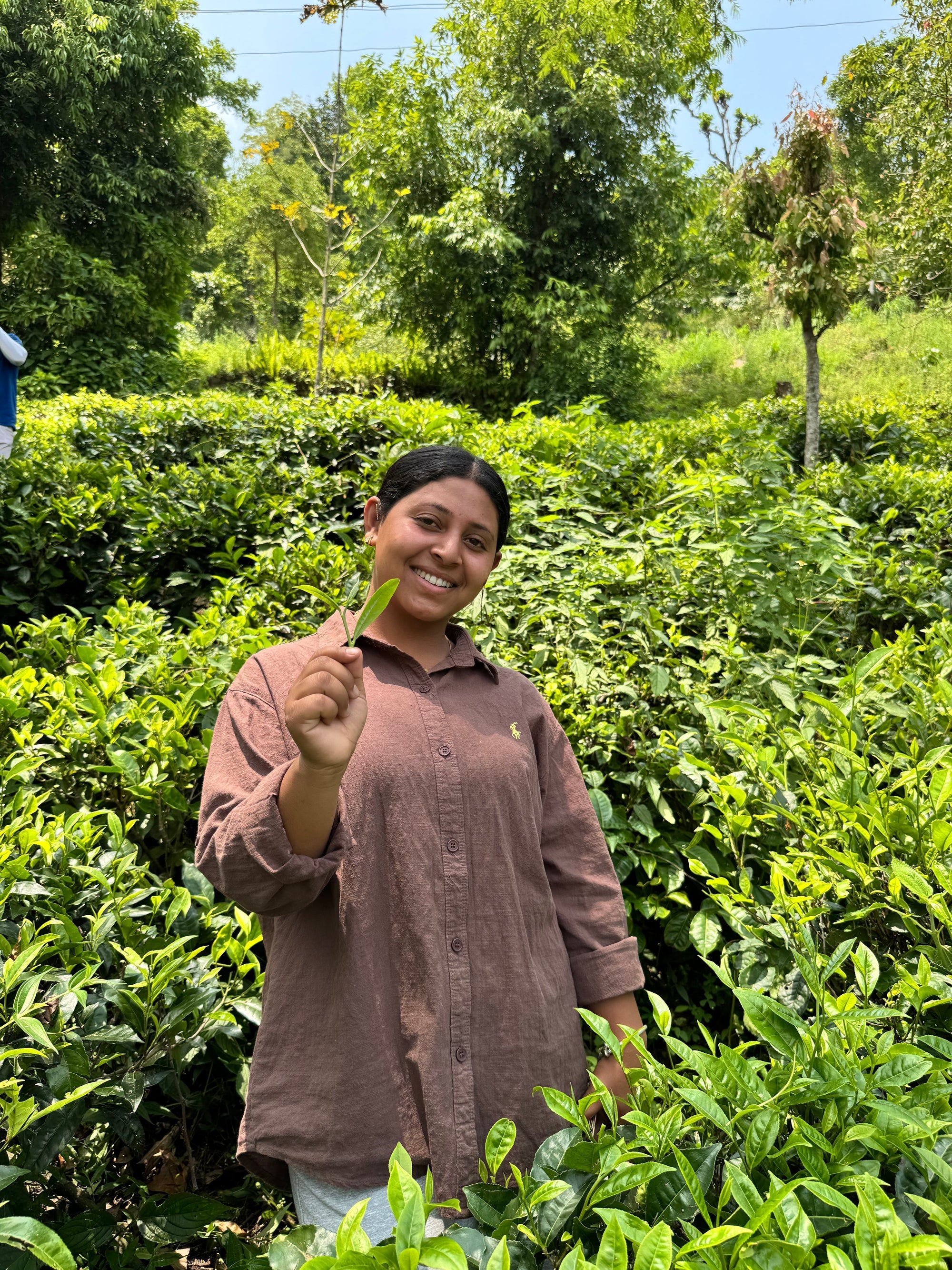 Meet Rojina: A Future Tea Master in the Making
