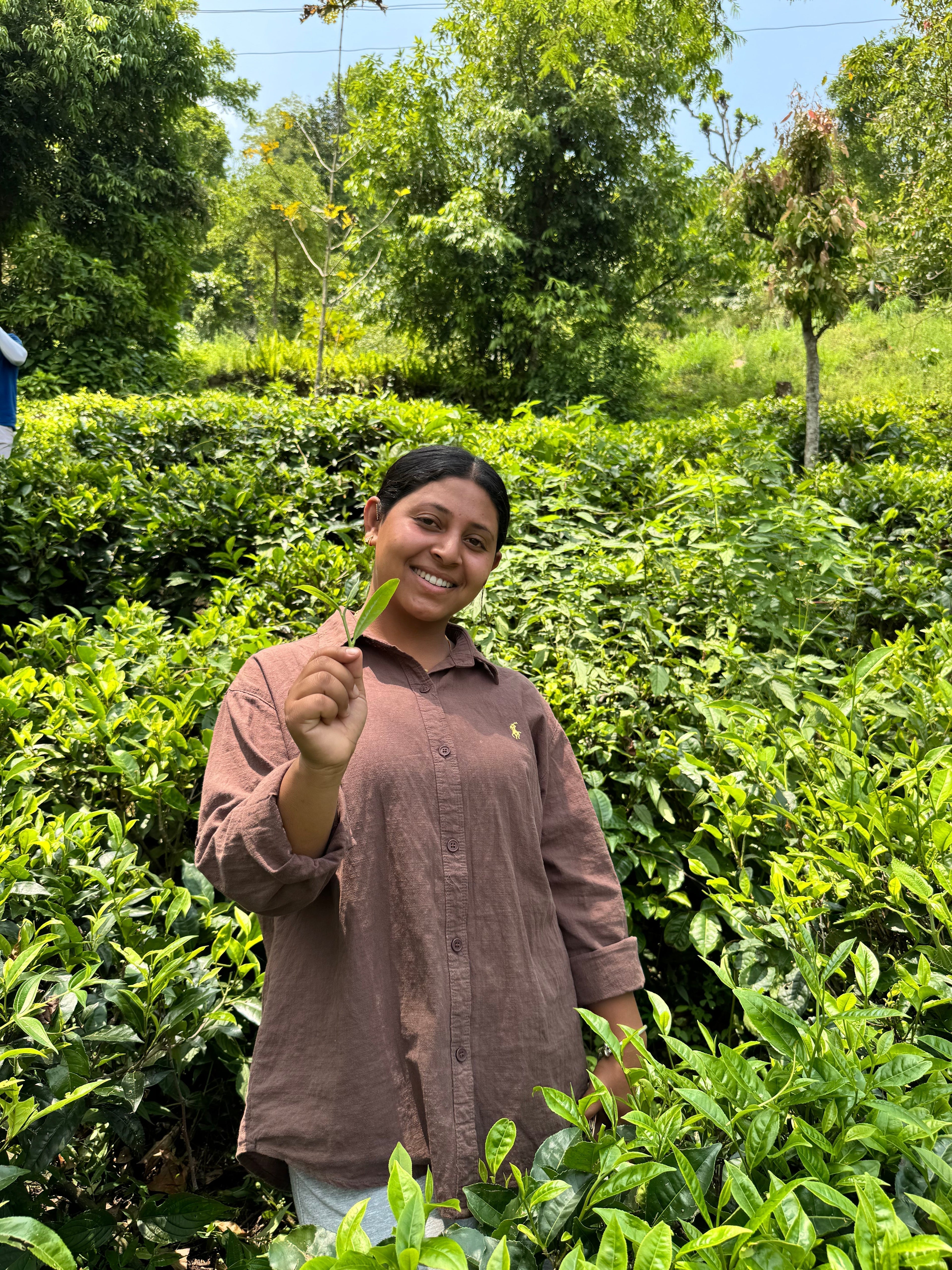 Meet Rojina: A Future Tea Master in the Making