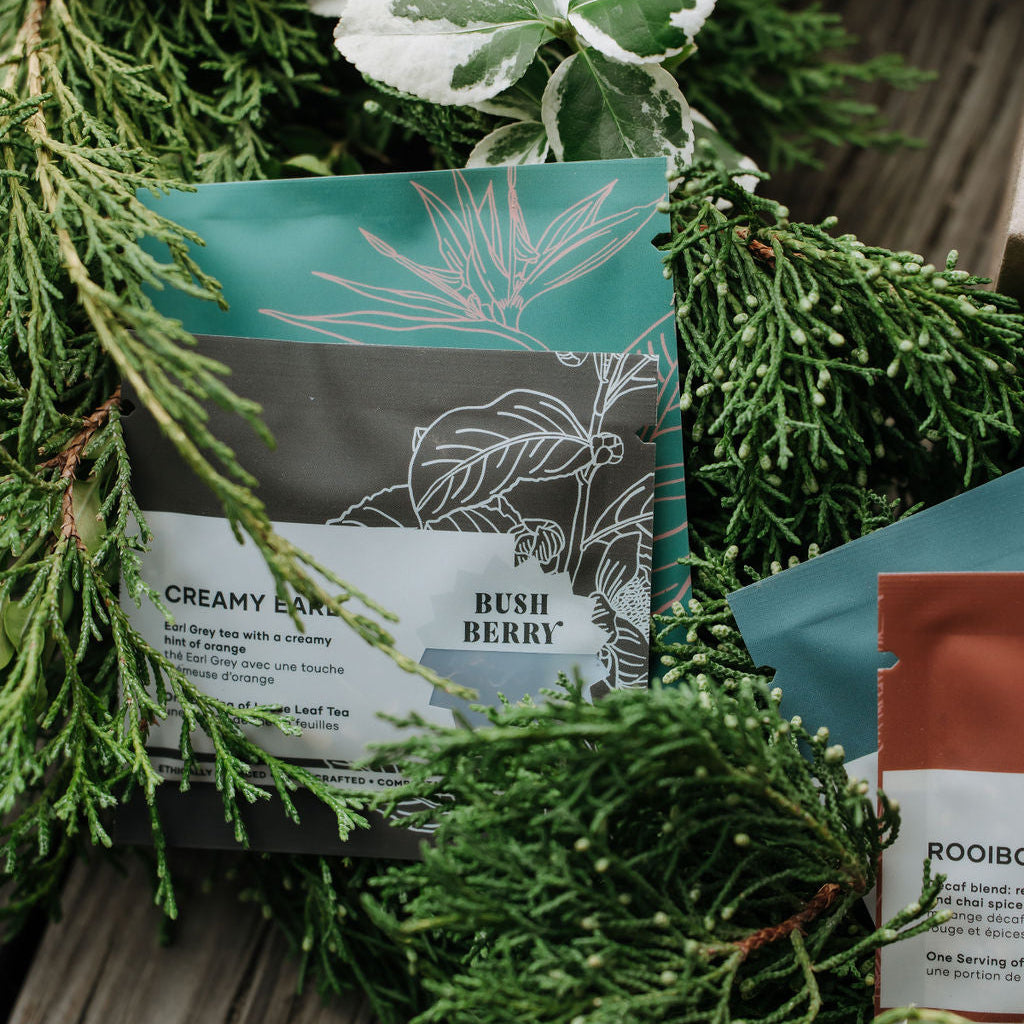 Tea product pouches arranged on a rustic wooden surface with green evergreen branches and variegated leaves around them. Visible pouches include Creamy Berry, Bush Berry, and Rooibos tea packaging.