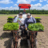 Farm + Forage Tea | Future Spell Farm