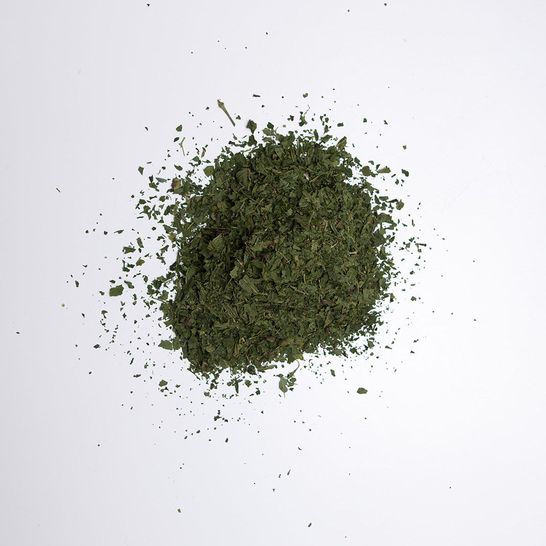 Organic Nettle | Foraged in Canada
