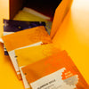 Sip The Fall | 12 Single Serving Teas