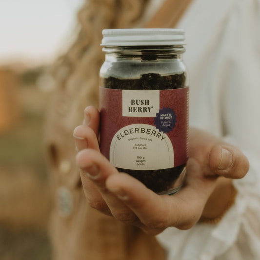 Organic Elderberry Juice Kit | WS