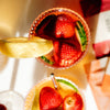 Iced Tea Bundle | 5 Full Size Teas