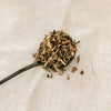 Organic Lemon Ginger Tulsi Tea