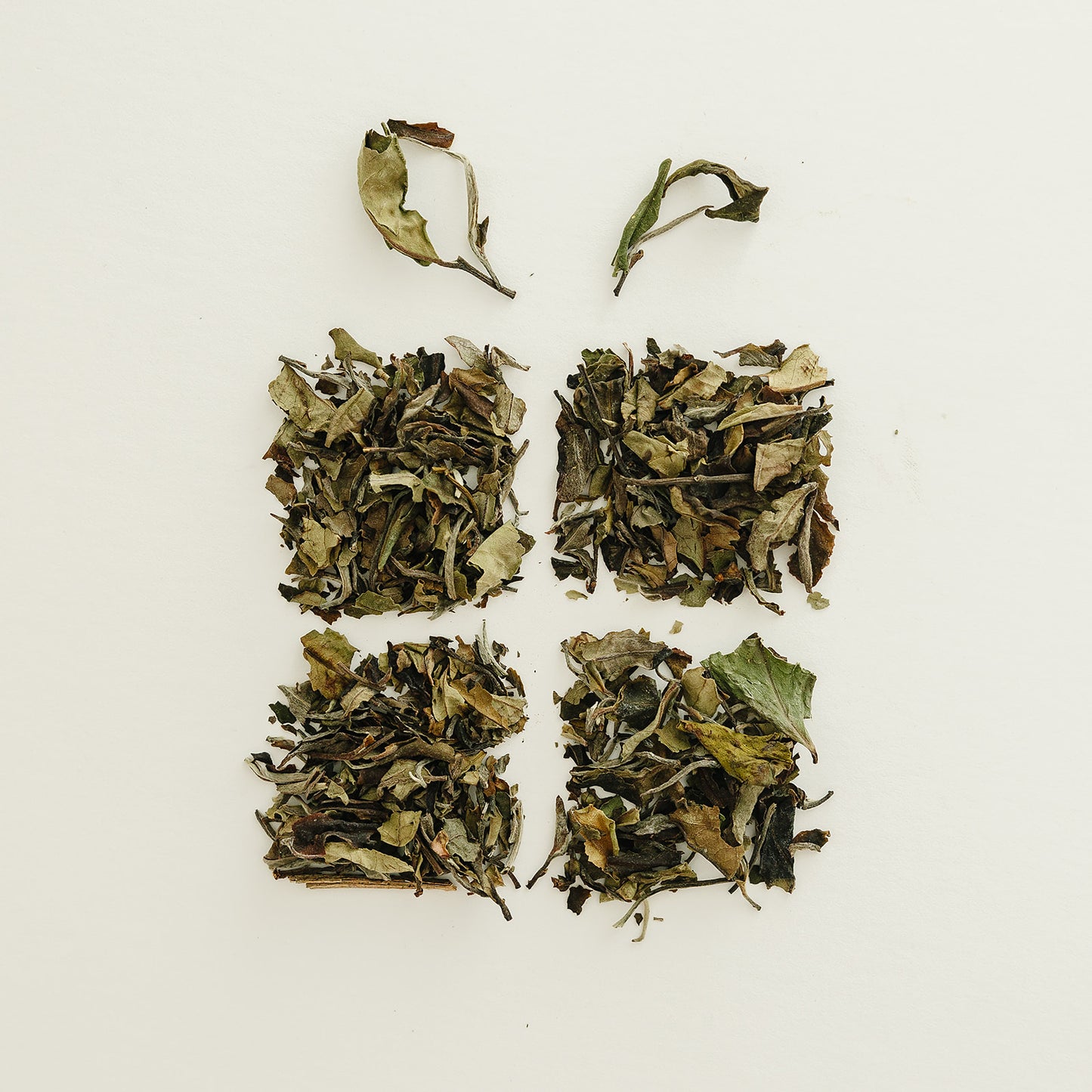 Organic Nutcracker Tea | WS