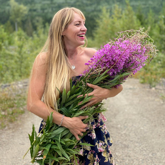 Wild Foraged + Fermented Fireweed Tea