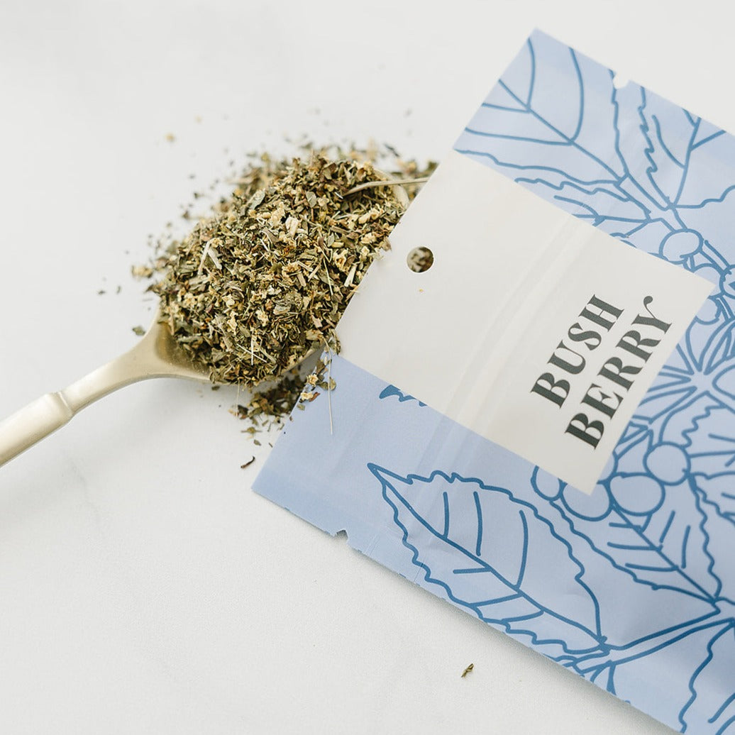 Organic Winter Wellness Tea | WS